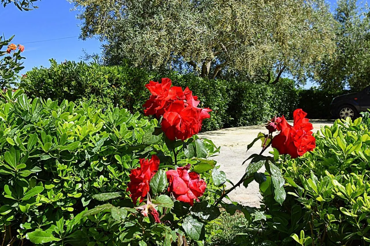 Apartmani Vila Karla, Dobropoljana, Otok Pasman Dobropoljana